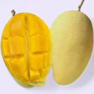 10 কেজি কাটিমন আম