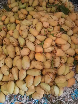 FB_IMG_1769422233496 (1)