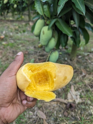 PXL_20250829_104734046 (1)